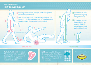 Illustration for article titled Penguins teach humans to walk on ice without getting injured